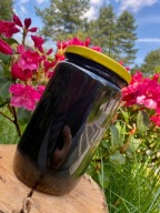 OKAZJA WYPRZEDAŻ Miód LEŚNY 1kg ZBIÓR 2025r Pasieka U Antosia