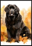 A2 59,4x42 PLAKAT OBRAZ PIES NOWOFUNDLAND, MOLOS, JESIEŃ AKWARELA LIŚCIE