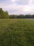 Działka, Rafałówka, Zabłudów, Białostocki, 3002 m²