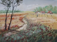 Lato na wsi Akwarela Sabina Salamon 28x38