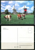 K22495)Holandia: Westbroek, Molenste