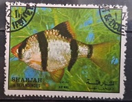 Ryby (**) - luzak - do uzupełnień 13/2