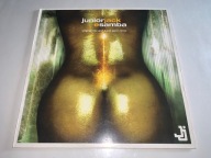 JUNIOR JACK - E SAMBA !! MEGA KLASYK HOUSE !!