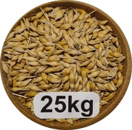 Jęczmień Konsumpcyjny/Paszowy, 25kg, 2025r