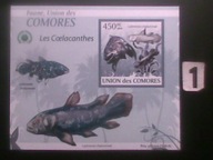 Ryby , Komory , MNH cięty