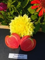 Pomidor Crushed Heart aromatyczny i urodziwe serce nasiona kolekcjonerskie