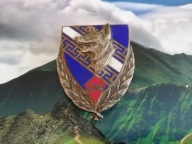 ODZNAKA WOJSKOWA -FRANCJA