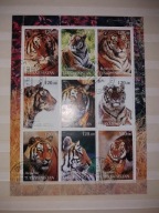 Turkmenistan ark. tygrysy