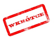 szara koszulka kwiaty part two M