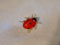 Broszka w kształcie biedronki