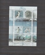 ARGENTYNA 2007, ARKUSIK