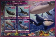 T.0478ca *ARKUSIK LUX FAUNA SSAKI MORSKIE WIELORYBY ORKI, zwierzęta morskie