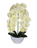 Sztuczny Storczyk żółty w Doniczce Dwa Pędy Orchidea Prezent Dzień Mamy
