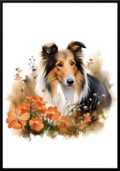 A2 PLAKAT PIES W KWIATACH RASA ROUGH COLLIE, OWCZAREK SZKOCKI DŁUGOWŁOSY