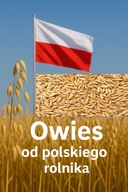 Owies zboże dla koni królików Pasza 5kg