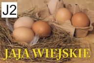BANER REKLAMA SPRZEDAŻ JAJEK JAJKA 200X100