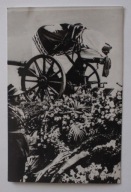 Działo artyleryjskie na którym jest TRUMNA, NA TRUMNIE FLAGA Z GODŁEM