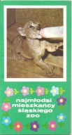 NAJMŁODSI MIESZKAŃCY ŚLĄSKIEGO ZOO - FOLDER Z 1977 ROKU.