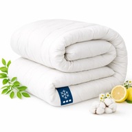 Antyalergiczna kołdra Domatorski 200×220 cm całoroczna