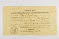 WIELKI KLINCZ KASZUBY 1919 r. ŚWIADECTWO URODZENIA