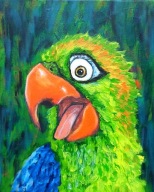 Papuga obraz malowany ręcznie 30x24 /75 Patryk Mit