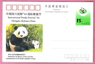 Chiny 1993, cp niedźwiedź panda, Międzynarod. Festiwal Pandy