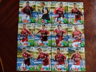Karty panini autografy Wisła Kraków sezon 13/14