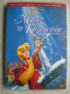 MIECZ W KAMIENIU DISNEY WYDANIE POLSKIE POLSKI DUBBING I NAPISY DODATKI DVD