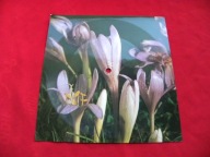 SKALDOWIE mam dla ciebie to co chcesz POCZTÓWKA DŹWIĘKOWA 1978 NM