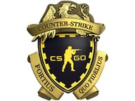 KONTO CS2 PRIME Z ODZNAKĄ LOJALNOŚCI CS 2 CSGO PEŁEN DOSTĘP ZMIANA DANYCH