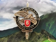 ODZNAKA WOJSKOWA -FRANCJA