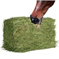 SIANO KOSTKA ZIELONE PACHNĄCE DO BUDY LEGOWISKO 10 KG (11kg) KILA ZWIERZĄT