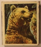 NIEDŹWIEDŹ - ZAPAŁKI + PUDEŁKO, ROSJA, ZSRR - NIEDŹWIEDŹ