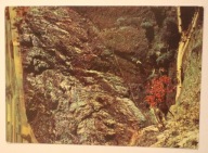 MAŁE PIENINY. Wąwóz Homole, CZYSTA