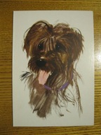 JANUSZ GRABIAŃSKI PIES PIESEK Karnet