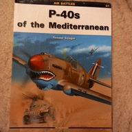 P-40s of the Mediterranean Szlagor Tomasz