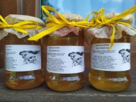 SYROP Z KWIATÓW LIPY 520 ML DOMOWY ZGODNY Z NATURĄ