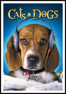 A2 PLAKAT OBRAZ, PLAKAT FILM PSY I KOTY, CATS & DOGS (2001)