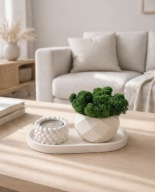 Zestaw dekoracyjny mech chrobotek świecznik taca 17 cm