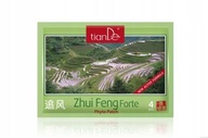 TIANDEPplaster ziołowy do ciała „Zhui Feng Forte”