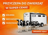 Przyczepa do przewozu żywych zwierząt do bydła cieląt krów owiec linia Agro