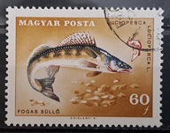 Ryby (kas) - luzak - do uzupełnień 13/5