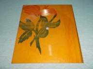 ST. Kubiak - Młoda dziewczyna , T. Zapolska