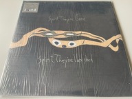 Animal Collective Spirit They're Gone Spirit They've Vanished 2LP winyl NM+