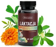 Skoczylas LAKTACJA dla kobiet karmiących 60 szt