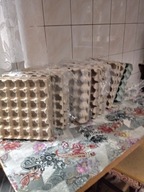 WYTŁACZANKI DUŻE NA 30 JAJEK 40 SZTUK