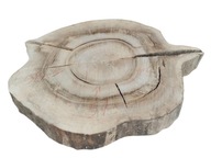 Plaster drewna 50cm duży Orzech bez kory Suchy Solidny DIY pod żywicę