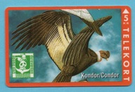 DANIA magnetyczna karta tel.