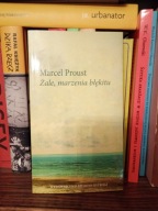 Żale marzenia błękitu Marcel Proust