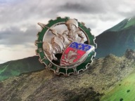 ODZNAKA WOJSKOWA- FRANCJA